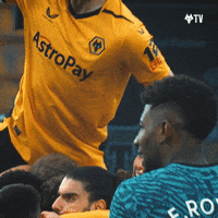 Come On Yes GIF by Wolves