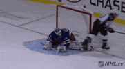 happy ice hockey GIF by NHL