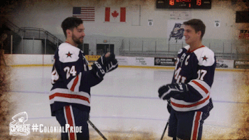 happy ice hockey GIF by Robert Morris University Athletics