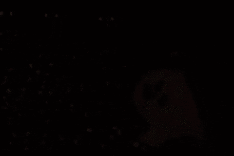 youre not elected charlie brown GIF by Peanuts