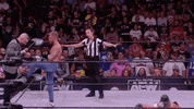 Tony Nese Wrestling GIF by AEWonTV
