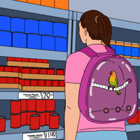 Bird in a backpack at the supermarket 