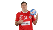 Handball_Austria aut moritz ohb handballaustria Sticker