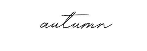 Fall Autumn Sticker by IDENTITY DIGITAL