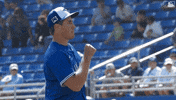 Blue Jays Mlb GIF by Toronto Blue Jays
