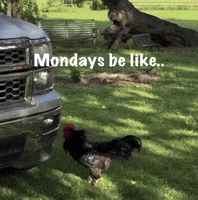 Monday Blues GIF