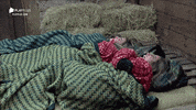 RecordTV  GIF