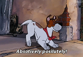 InternetG33k giphyupload oliver dodger oliver and co GIF