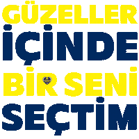 Gaziantep Sticker by Adam Voleybol