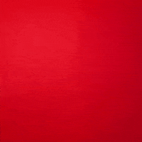 Texas Tech GIF by Texas Tech Baseball