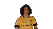 Bundesliga Celebrate Sticker by SG Dynamo Dresden