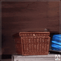 Basket Case Reaction GIF by Arrow Video
