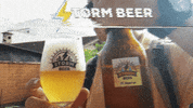 stormbeer  GIF