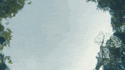 Movie Film GIF by Raven Banner Entertainment