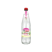 Eico-Quelle wasser mineralwasser hohenlohe eico Sticker