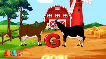 G  Is For Goat
