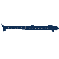 Sausage Dog Sticker