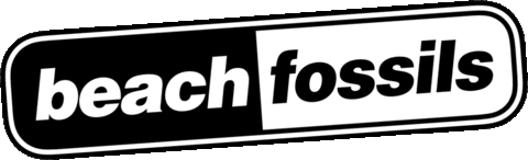 Beach Fossils Indie Sticker by Bayonet Records
