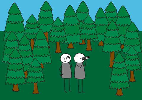 trees GIF