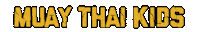 Muay Thai Fight Sticker