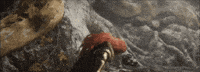 Elden Ring GIF