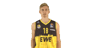 Ewe Baskets Basketball Sticker by EWE Baskets Oldenburg