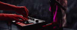 Festival Concert GIF by Flora Cash
