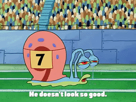 season 3 the great snail race GIF by SpongeBob SquarePants