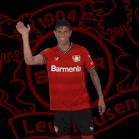 Wave Im Out GIF by Bayer 04 Leverkusen