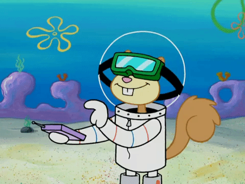 season 4 GIF by SpongeBob SquarePants