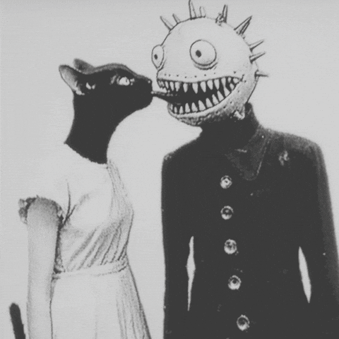 GIF by ellaknor