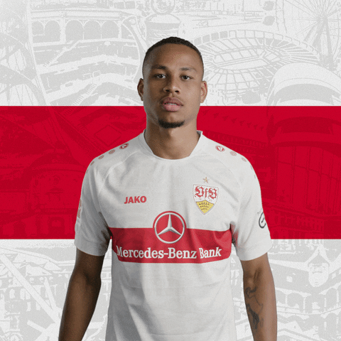 Quiet Please Football GIF by VfB Stuttgart