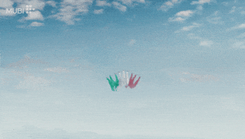 Italian Cinema Film GIF by MUBI