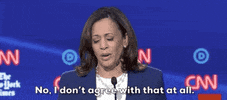 Demdebate GIF by GIPHY News
