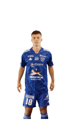 Football Sport Sticker by FCVB