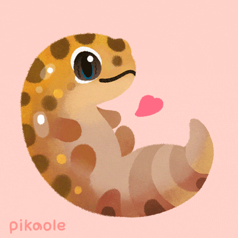 Gecko GIF by pikaole