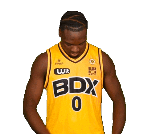 Basketball Basket Sticker by JSABMB