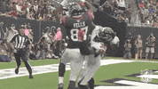 Houston Texans Football GIF by NFL