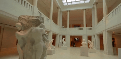 chicago illinois GIF