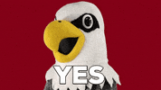 uwlacrosse uwl uwlax uwlacrosse uw-lacrosse GIF