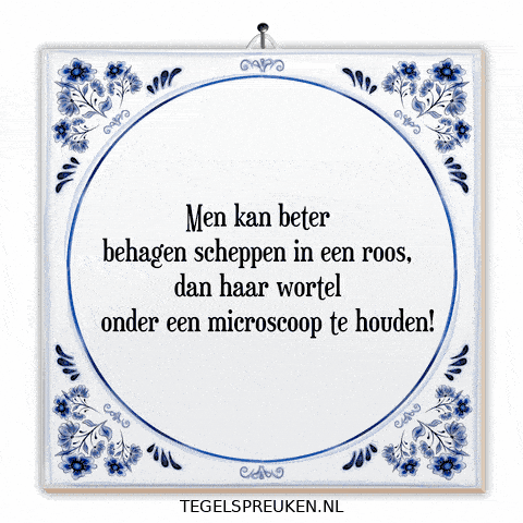 Nl Verandering GIF by Tegelspreuken.nl