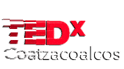 Tedx Sticker by Tedxcoatzacoalcos