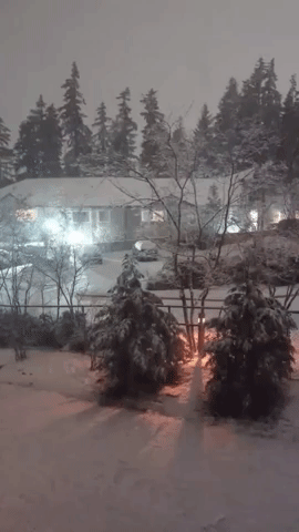 Snowfall Creates Winter Wonderland in Western Washington