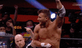 Cm Punk Wrestling GIF by AEWonTV