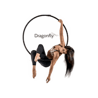 Hoop Pole Sticker by Dragonflybrand