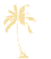 Palm Tree Logo Sticker by Major Food Group