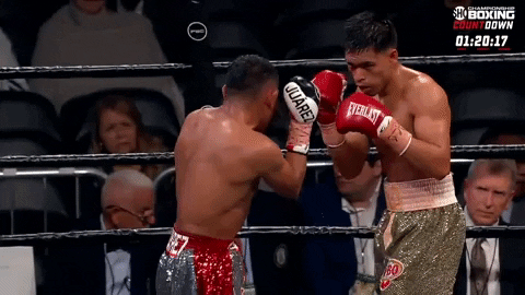 Tom_Cody giphyupload boxing counter counterpunch GIF