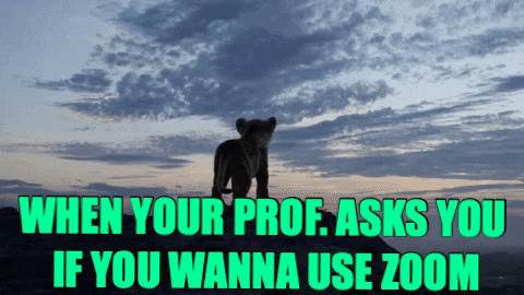 johnforest3985 giphygifmaker GIF