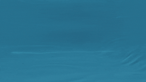 Water Walnut GIF by info-lux