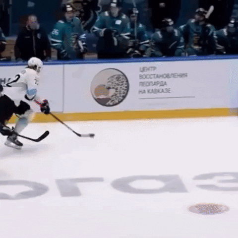 Hockey Hit GIF by Hockey Players Club